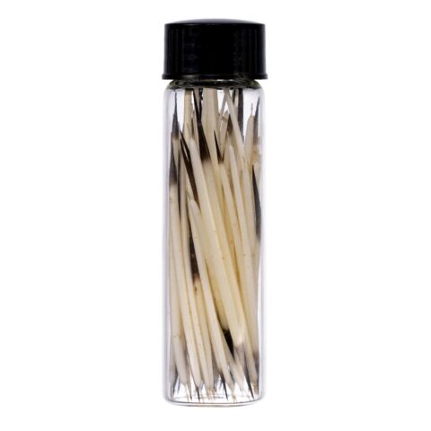 Real American Porcupine Quills - Extra Small