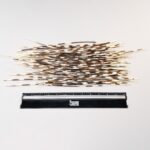 Real Bag-O-Porcupine Quills – Large