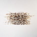 Real Bag-O-Porcupine Quills – Large