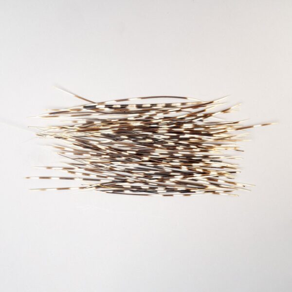 Real Bag-O-Porcupine Quills – Large