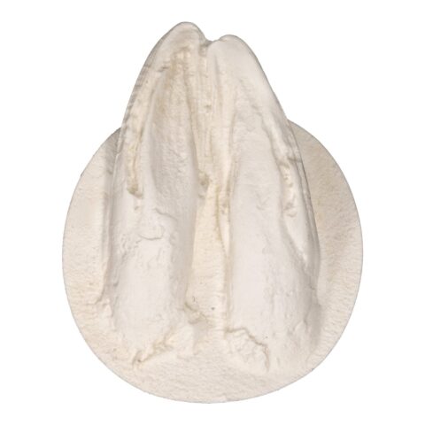 Replica Whitetail Deer Negative Footprint