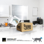 Frozen Feline Cadaver Specimen