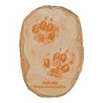 Replica Gray Fox Footprints