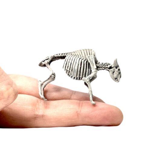 Bison Skeleton Replica - 1:48 Scale