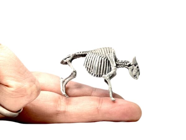 Bison Skeleton Replica – 1:48 Scale