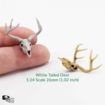 White-Tailed Deer Skull Replica – 1:24 Scale