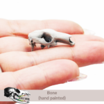 Red Kangaroo Skull Replica