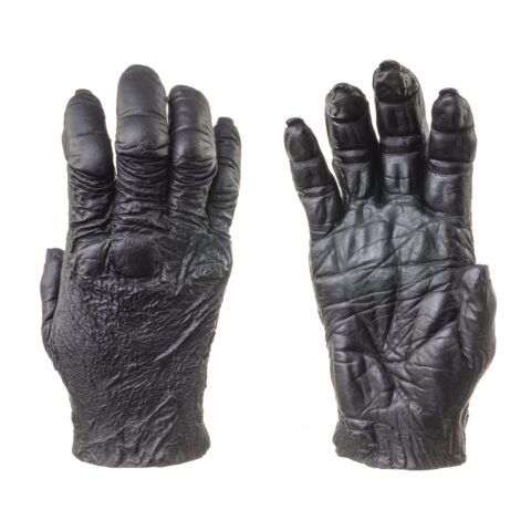 Replica Chimpanzee Right Hand - Male