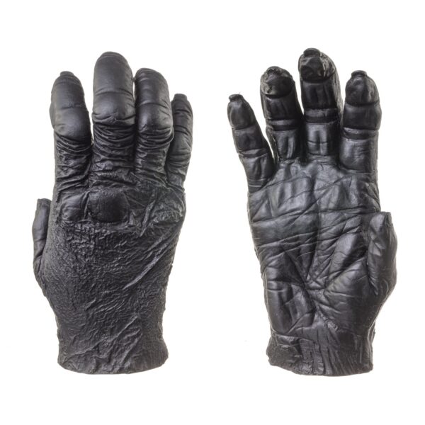 Replica Chimpanzee Right Hand – Male