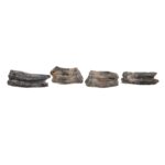 Real Fossilized Horse Tooth – Single