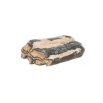 Real Fossilized Horse Tooth – Single