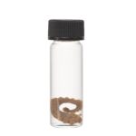Real Tentacle Wet Specimen – Single