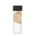 Real Tentacle Wet Specimen – Single