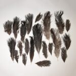 Real Bag-O-Ostrich Feathers