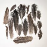 Real Bag-O-Ostrich Feathers
