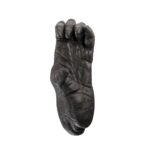 Replica Sumatran Orangutan Left Foot – Female