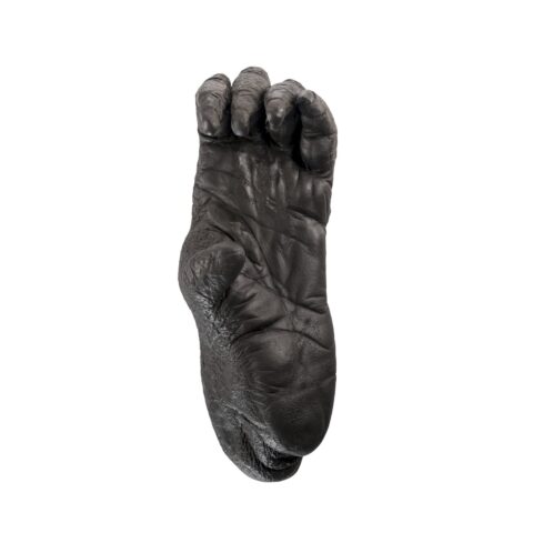 Replica Sumatran Orangutan Left Foot - Female