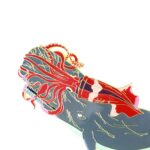 Giant Squid vs. Sperm Whale Enamel Pin (Architeuthis dux vs. Physeter macrocephalus)