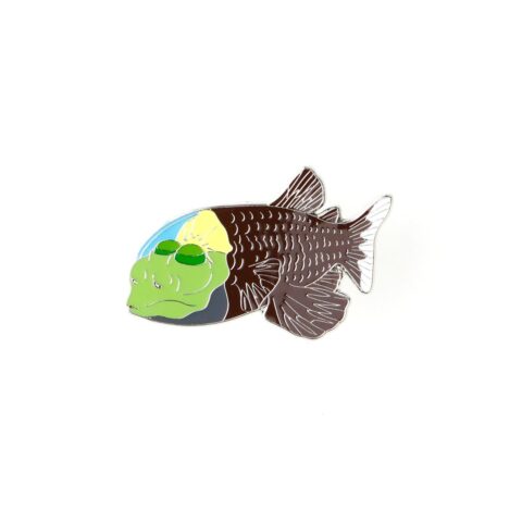 Barreleye Enamel Pin (Macropinna microstoma)