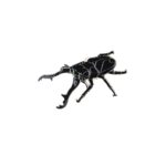 Giraffe Stag Beetle Enamel Pin (Prosopocoilus giraffa)