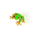 Red-Eyed Tree Frog Enamel Pin (Agalychnis callidryas)