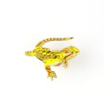 Bearded Dragon Enamel Pin (Pogona vitticeps)