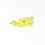 Dunkleosteus Enamel Pin (Dunkleosteus terrelli)