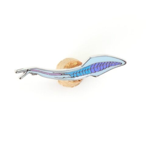 Pikaia Enamel Pin (Pikaia gracilens)
