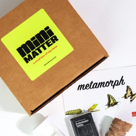 Mini Matter Metamorph Science Kit