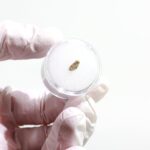 Meteorite Specimen Blind Bag – Cosmology Series 1