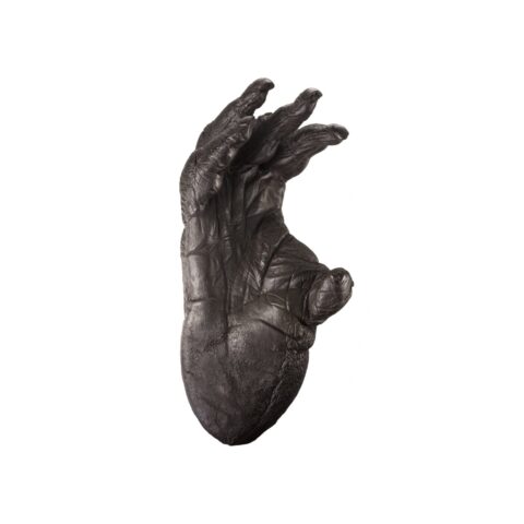 Replica Sumatran Orangutan Right Foot - Male