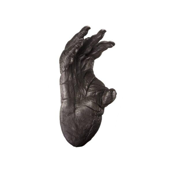 Replica Sumatran Orangutan Right Foot – Male