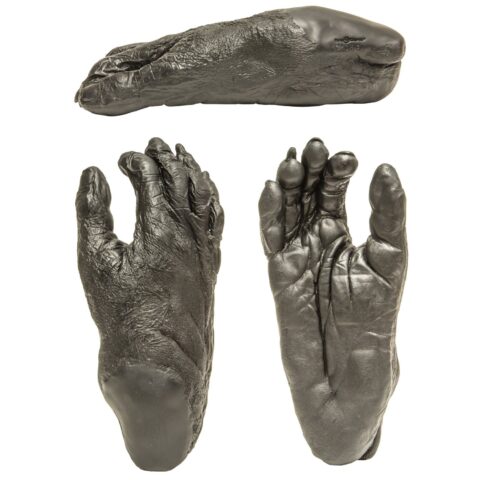 Replica Bonobo Right Foot