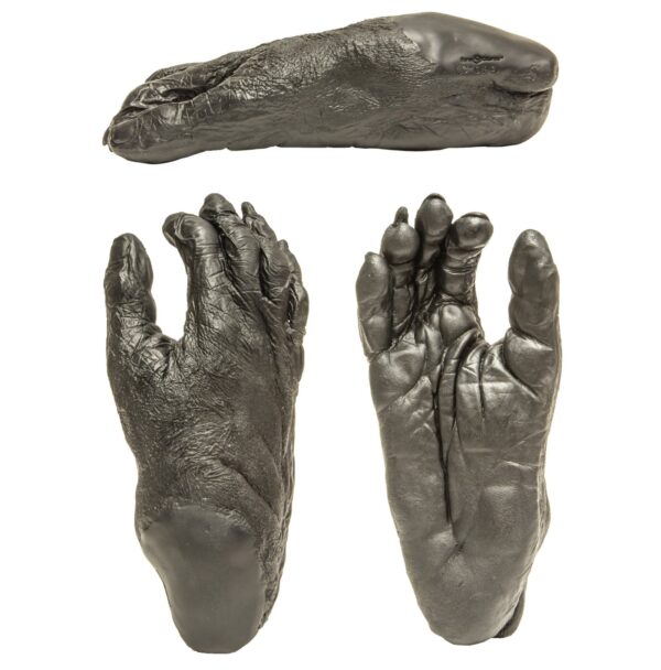 Replica Bonobo Right Foot