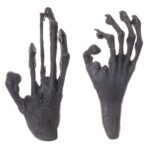Replica Aye-aye Hand and Foot