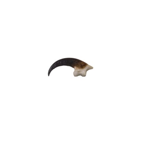Replica Peregrine Falcon Talon