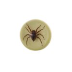 Real Spider in Acrylic Wine Stopper