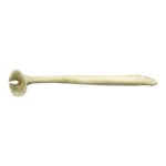Replica Honey Badger Baculum