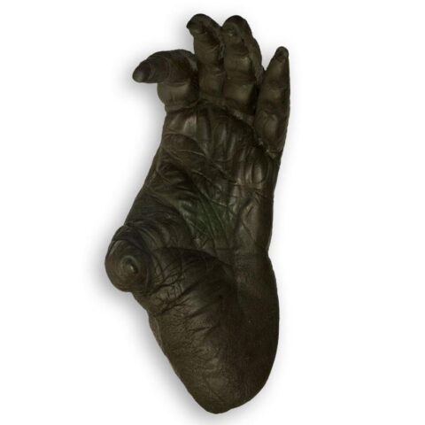 Replica Sumatran Orangutan Left Foot - Male