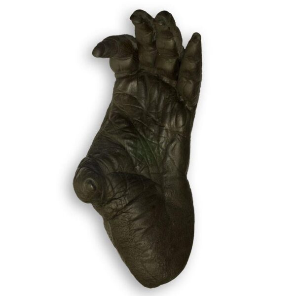 Replica Sumatran Orangutan Left Foot – Male
