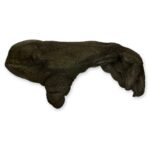 Replica Sumatran Orangutan Left Foot – Male