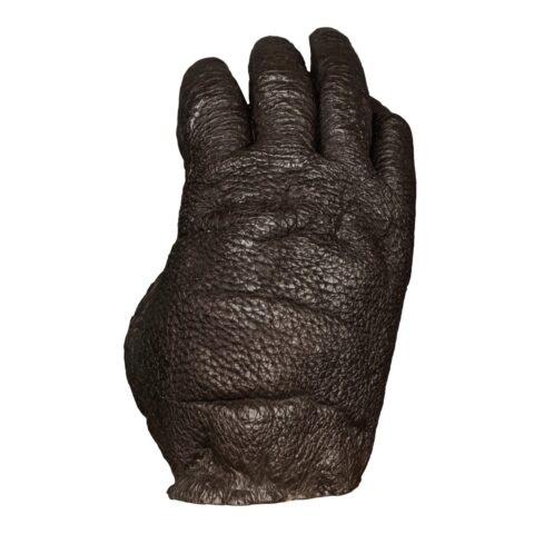Replica Sumatran Orangutan Right Hand - Male