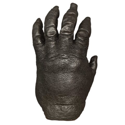 Replica Lowland Gorilla Left Hand - Male