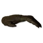 Replica Sumatran Orangutan Left Hand – Male