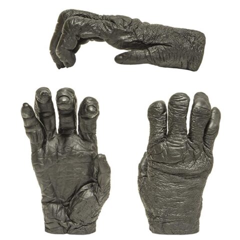 Replica Bonobo Right Hand