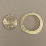Real Ostrich Sclerotic Ossicle – Single