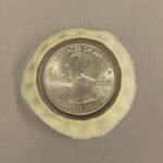 Real Ostrich Sclerotic Ossicle – Single