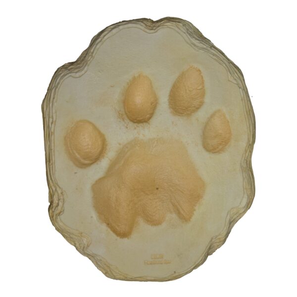 Replica African Lion Footprint