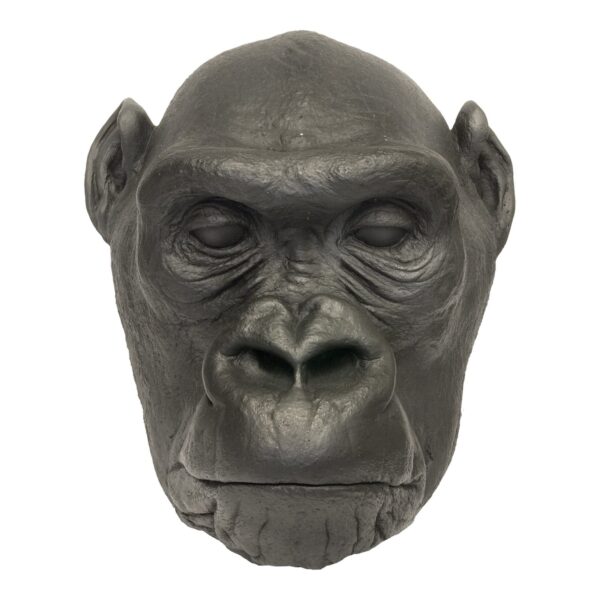 Replica Lowland Gorilla Face Cast – Female