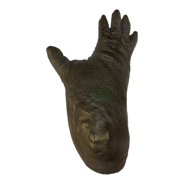 Replica Lowland Gorilla Right Foot – Male